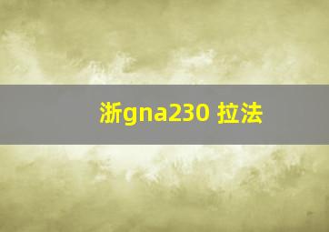 浙gna230 拉法